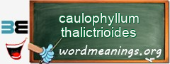 WordMeaning blackboard for caulophyllum thalictrioides